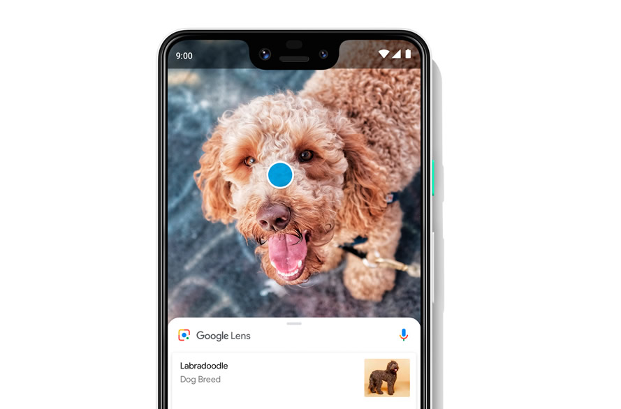 Pixel 3 Google Lens